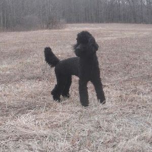 Meet your Posher, Shari